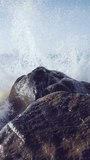 吃瓜群免费加入截图3